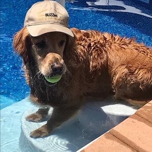 Meet your Posher, Nick